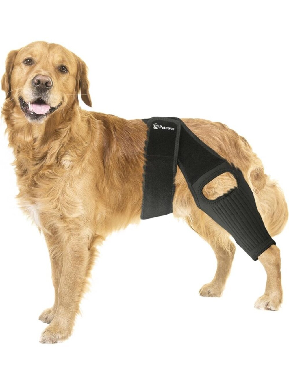 Dog Knee Brace for Torn Acl Hind Leg Back Leg Size LARGE Dog Acl